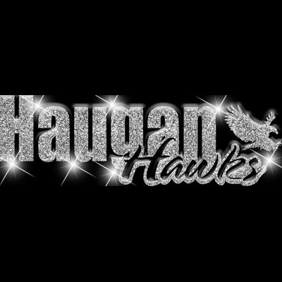 GLT1 SILVER GLITTER Thumbnail